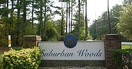 Surburban Woods